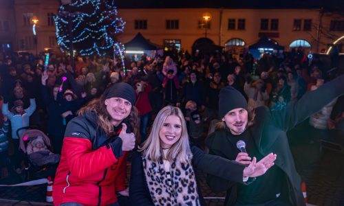 ela a tom galerie (9)